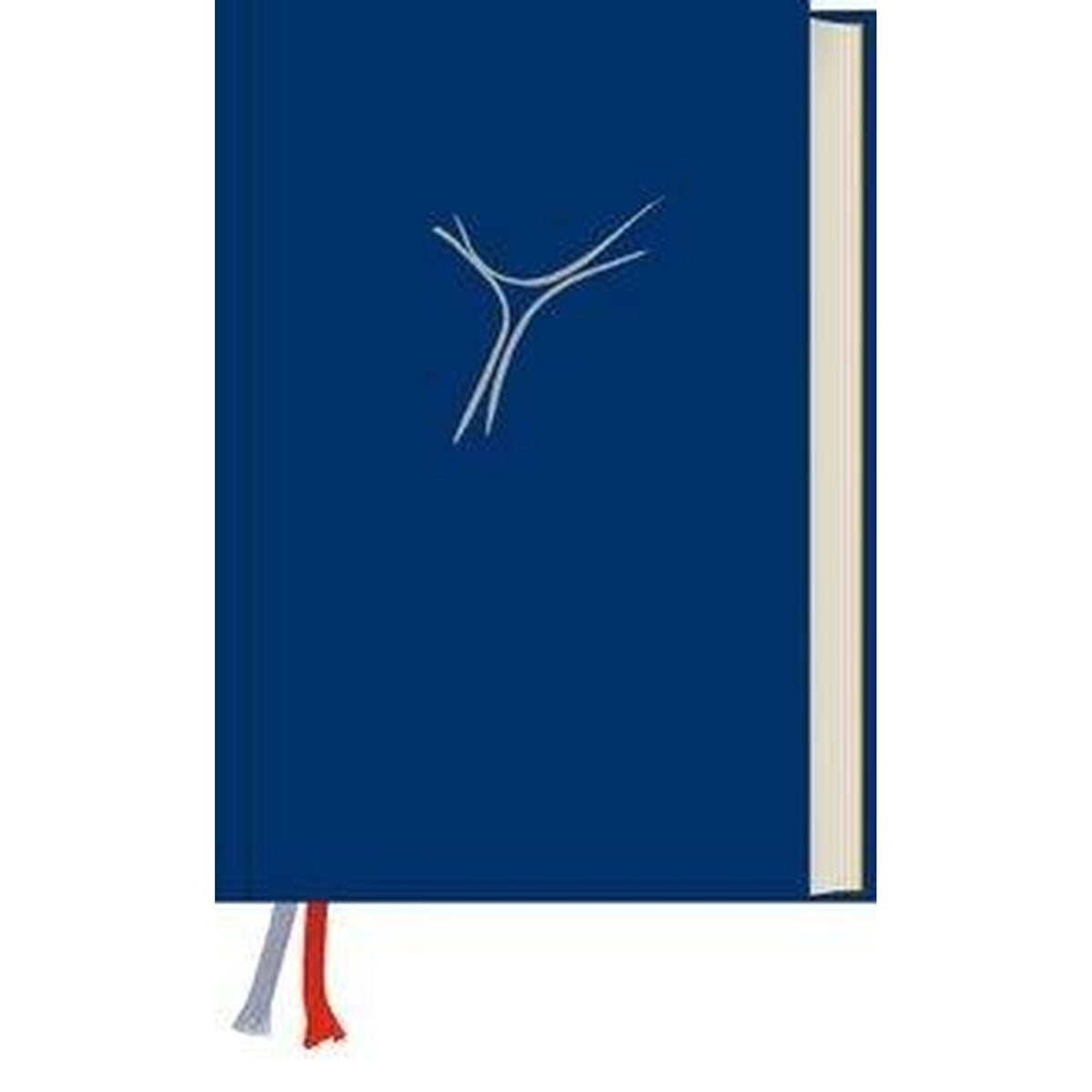 Gotteslob Regensburg in blau - Katholisches Gebet- und Gesangbuch
